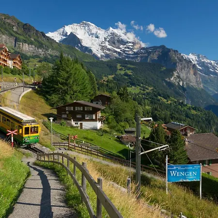 Apartment Primula 3 Wengen