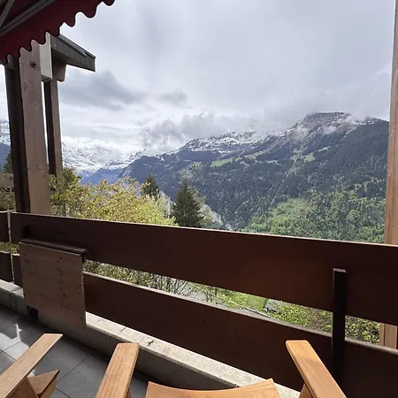 Apartment Primula 3 Wengen
